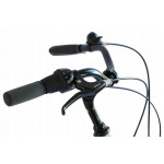 Mestský bicykel 28" SPRICK Zündapp s nízkym nástupom hliníkový rám: 18" Strieborná